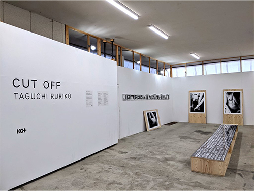 田口るり子、展示風景